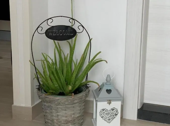 Appartement Salov
