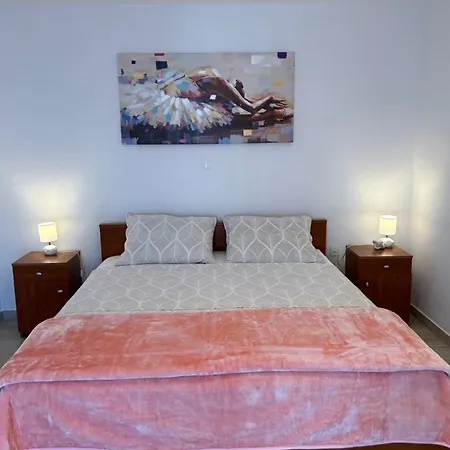 Apartment Salov *