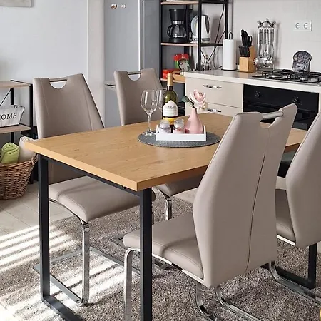 Salov Apartment *